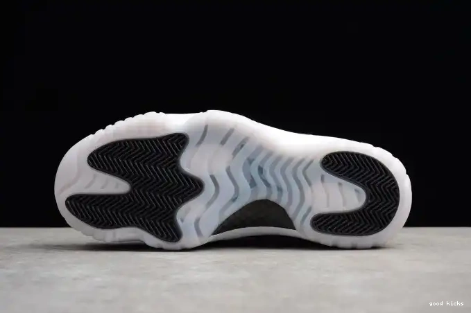 Rep 11 Retro Low Jordan 528895-010 